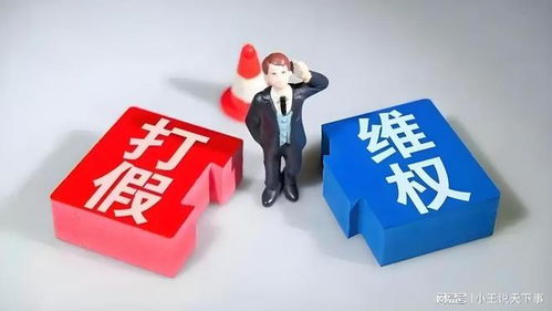 職業(yè)打假人的法律邊界 從吳亞萍法官判決看知識產(chǎn)權(quán)服務的角色與爭議