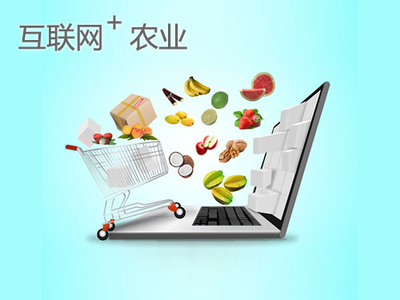 點豆網 以“互聯網+”助力農業可持續發展，開啟智慧農業新篇章